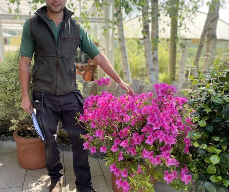 482067748_663096279450527_5041931049097349833_n